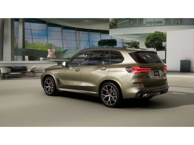 2026 BMW X5 photo 2