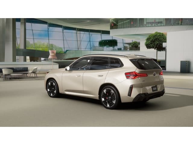 2026 BMW X3 photo 2