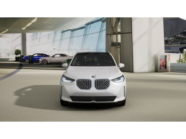 2026 BMW X3 photo 3