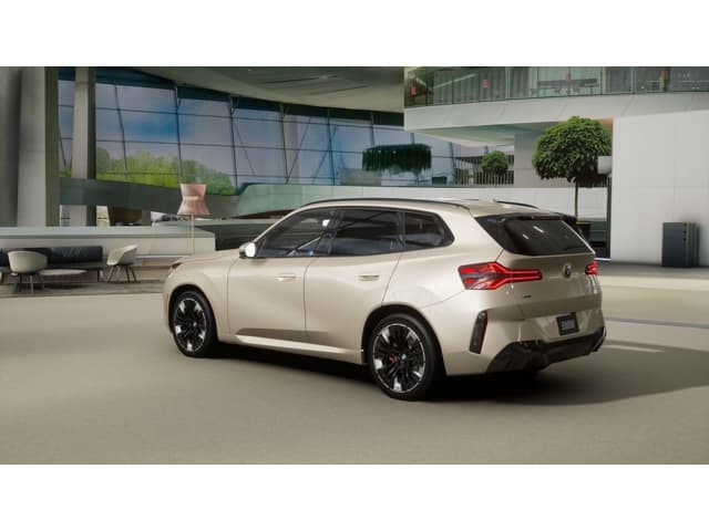 2026 BMW X3 photo 2