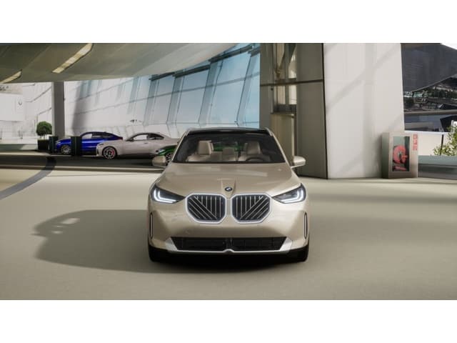 2026 BMW X3 photo 3