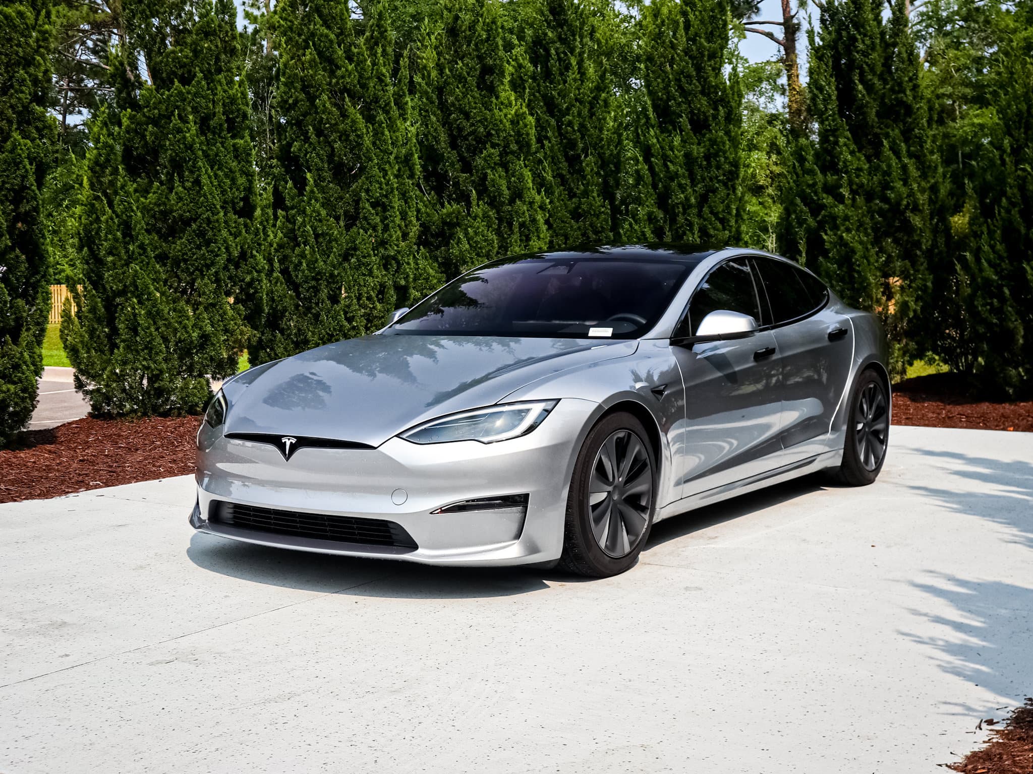 2025 Tesla Model photo 4