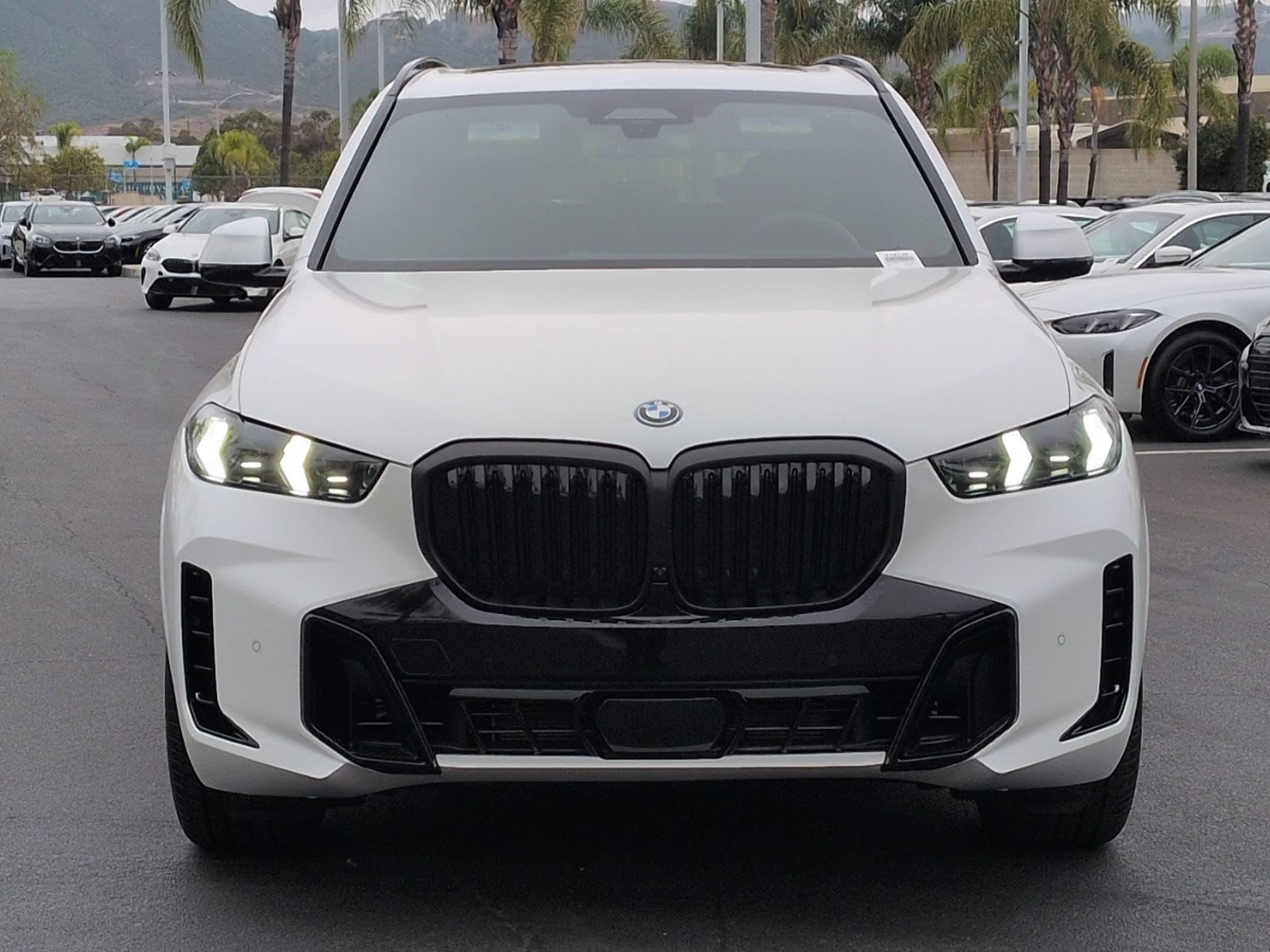 2026 BMW X5 photo 3