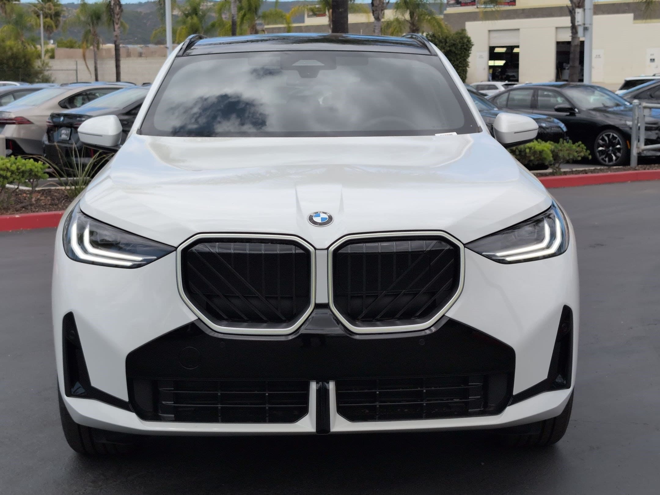 2026 BMW X3 photo 3