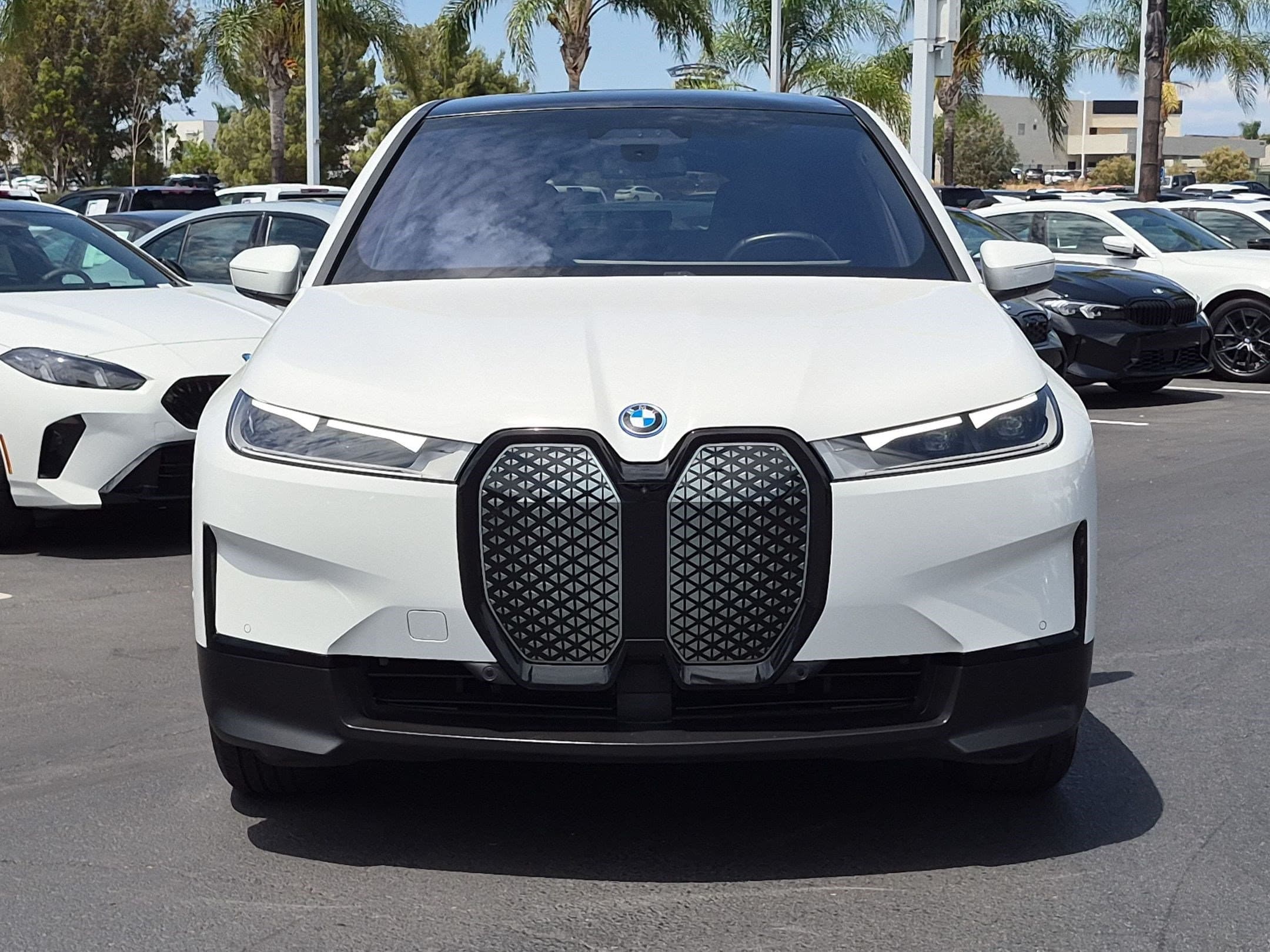 2024 BMW iX photo 3