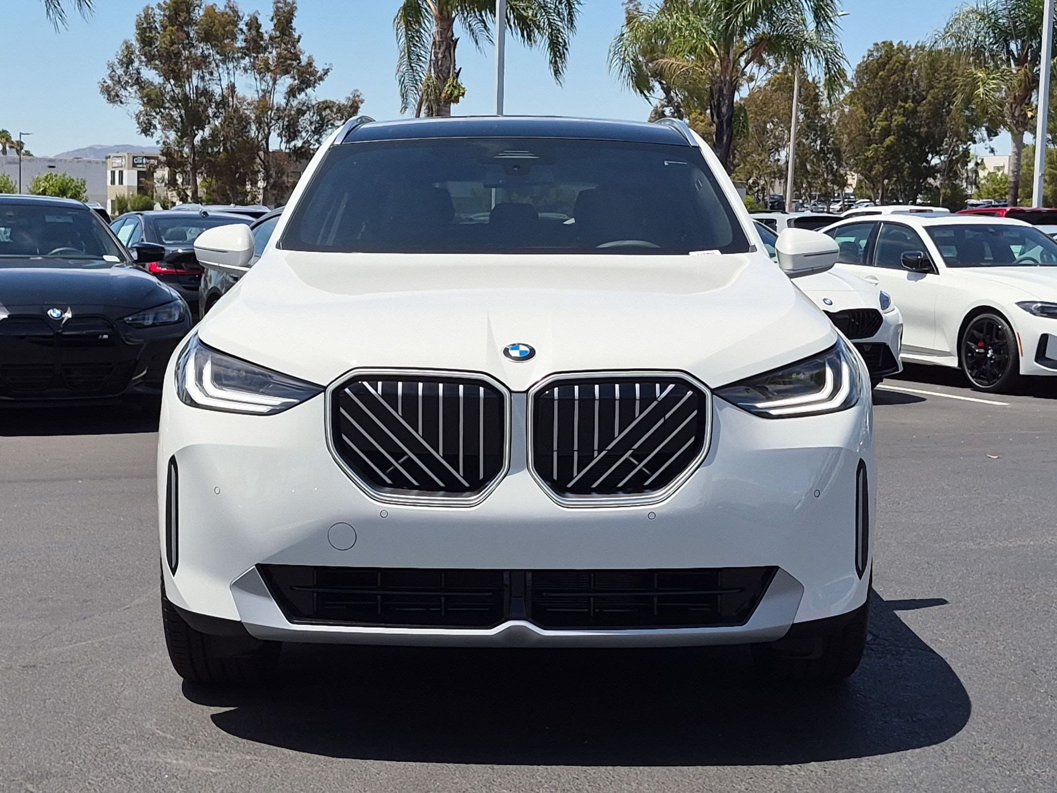2026 BMW X3 photo 3