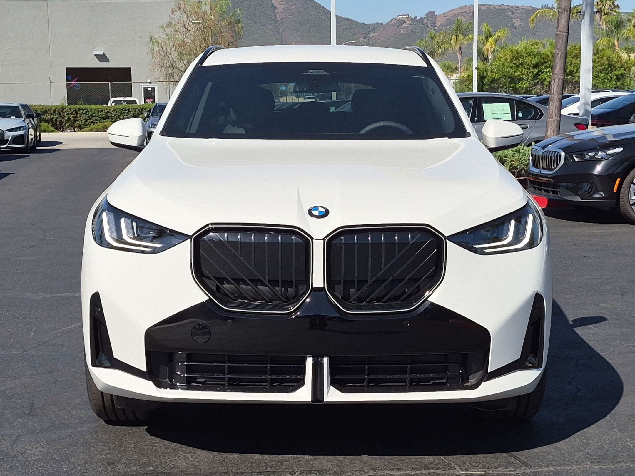 2026 BMW X3 photo 3