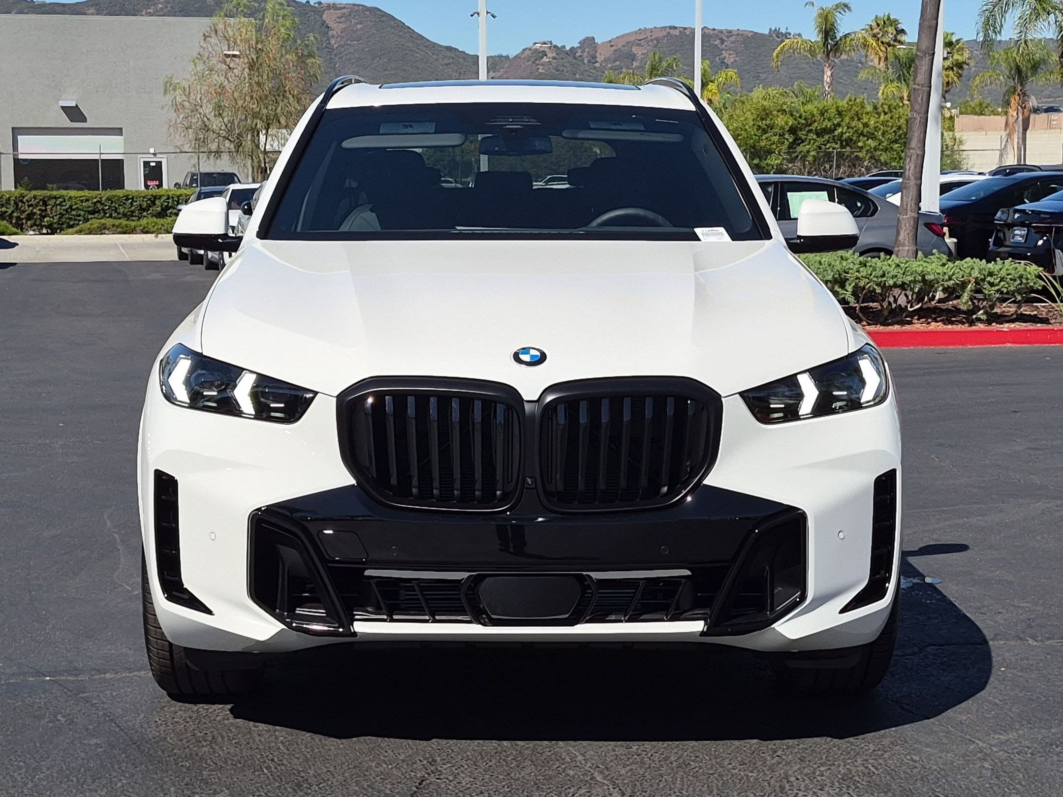2026 BMW X5 photo 3
