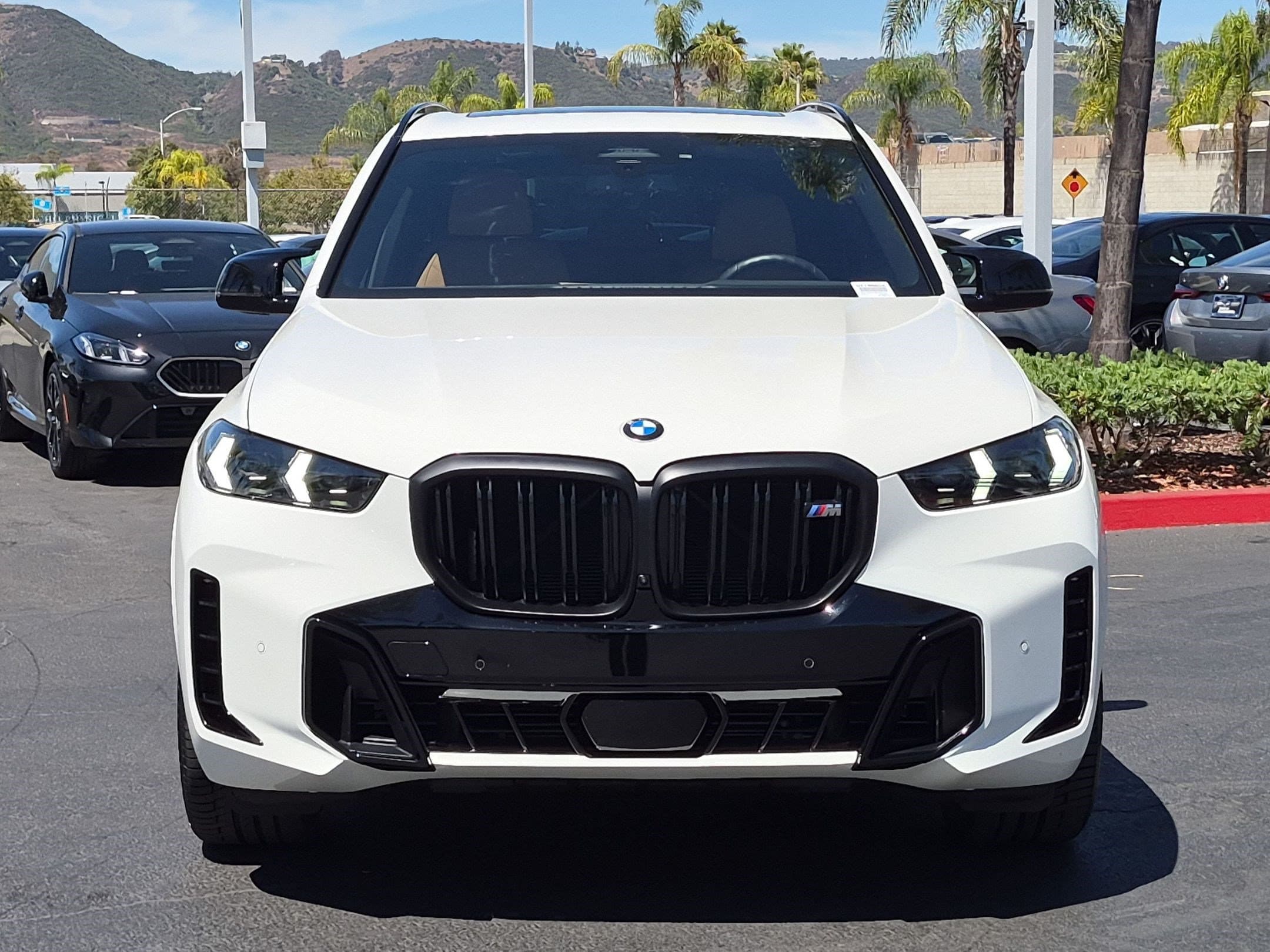 2025 BMW X5 photo 3