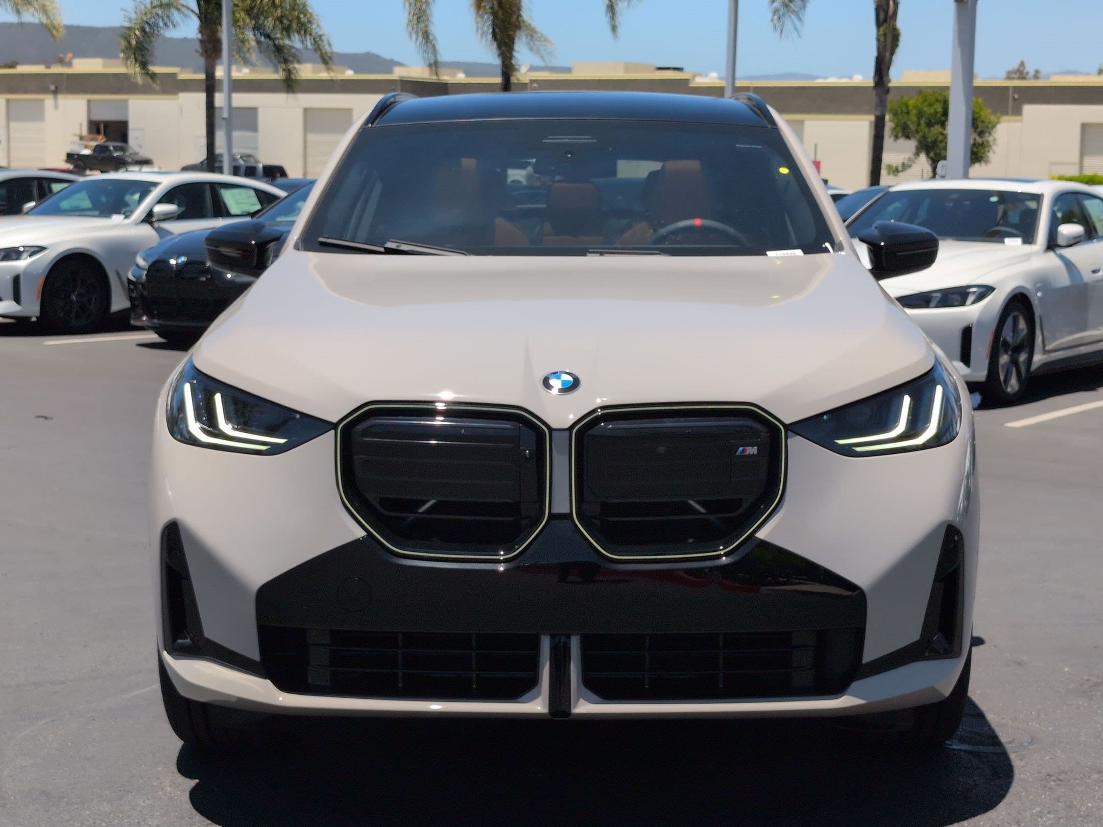 2026 BMW X3 photo 3