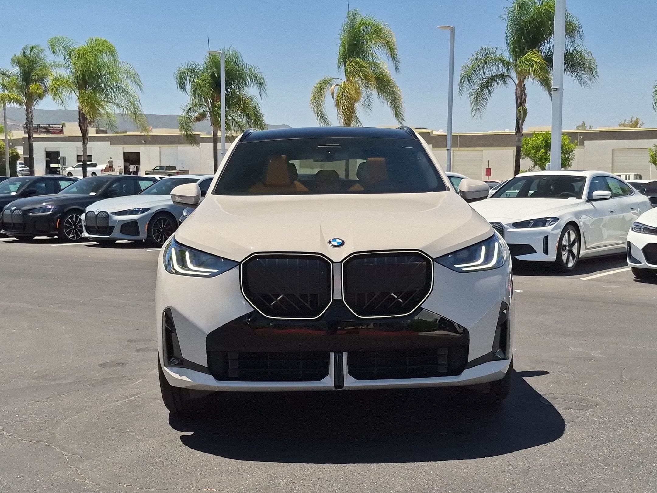 2026 BMW X3 photo 3