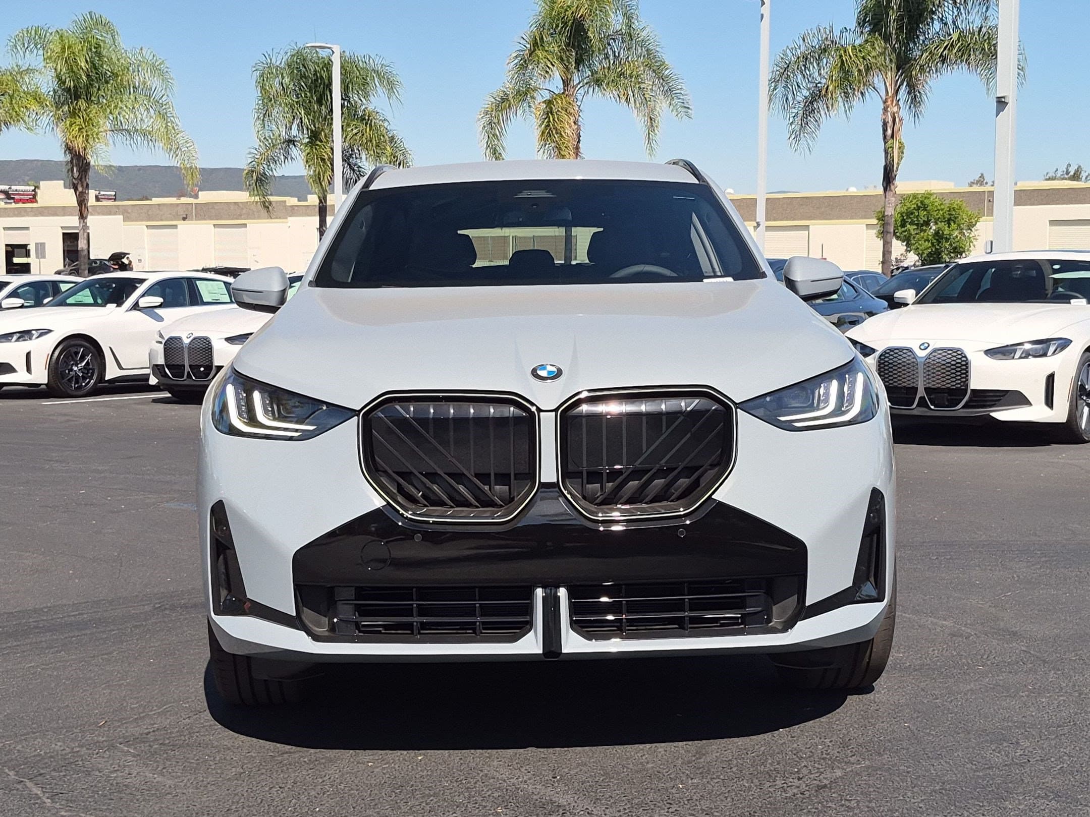 2026 BMW X3 photo 3