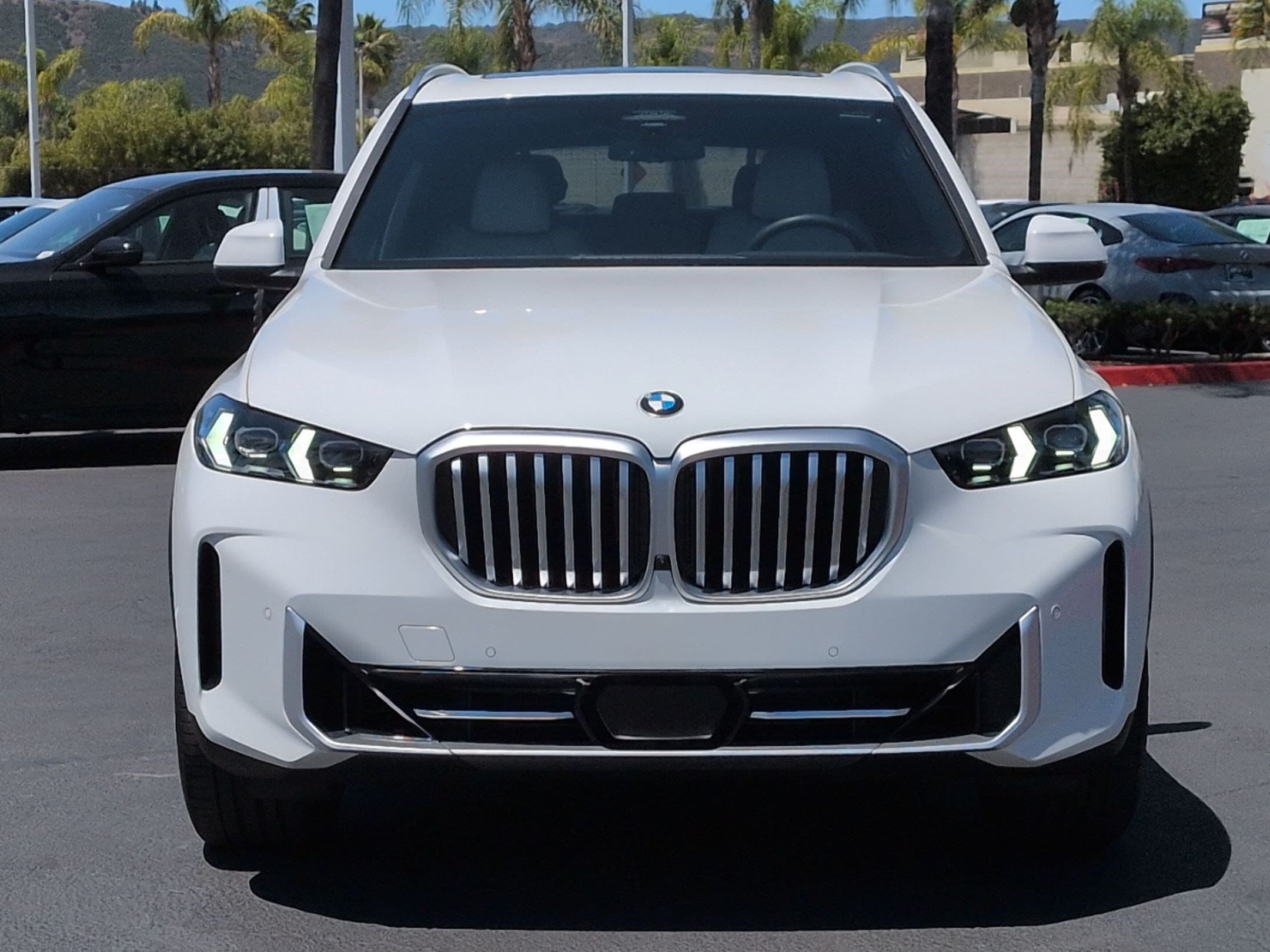 2025 BMW X5 photo 3