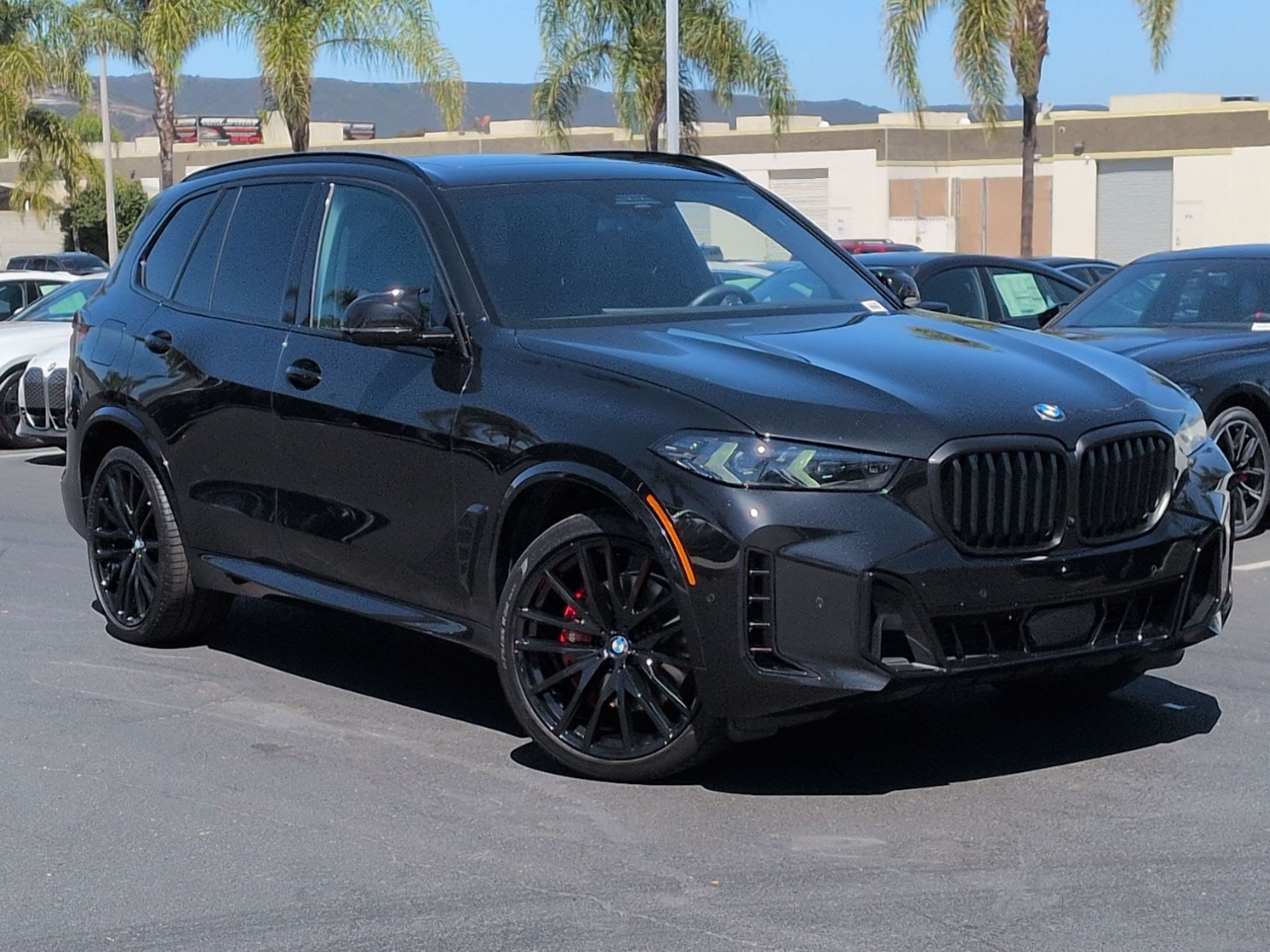 2025 BMW X5 photo 2