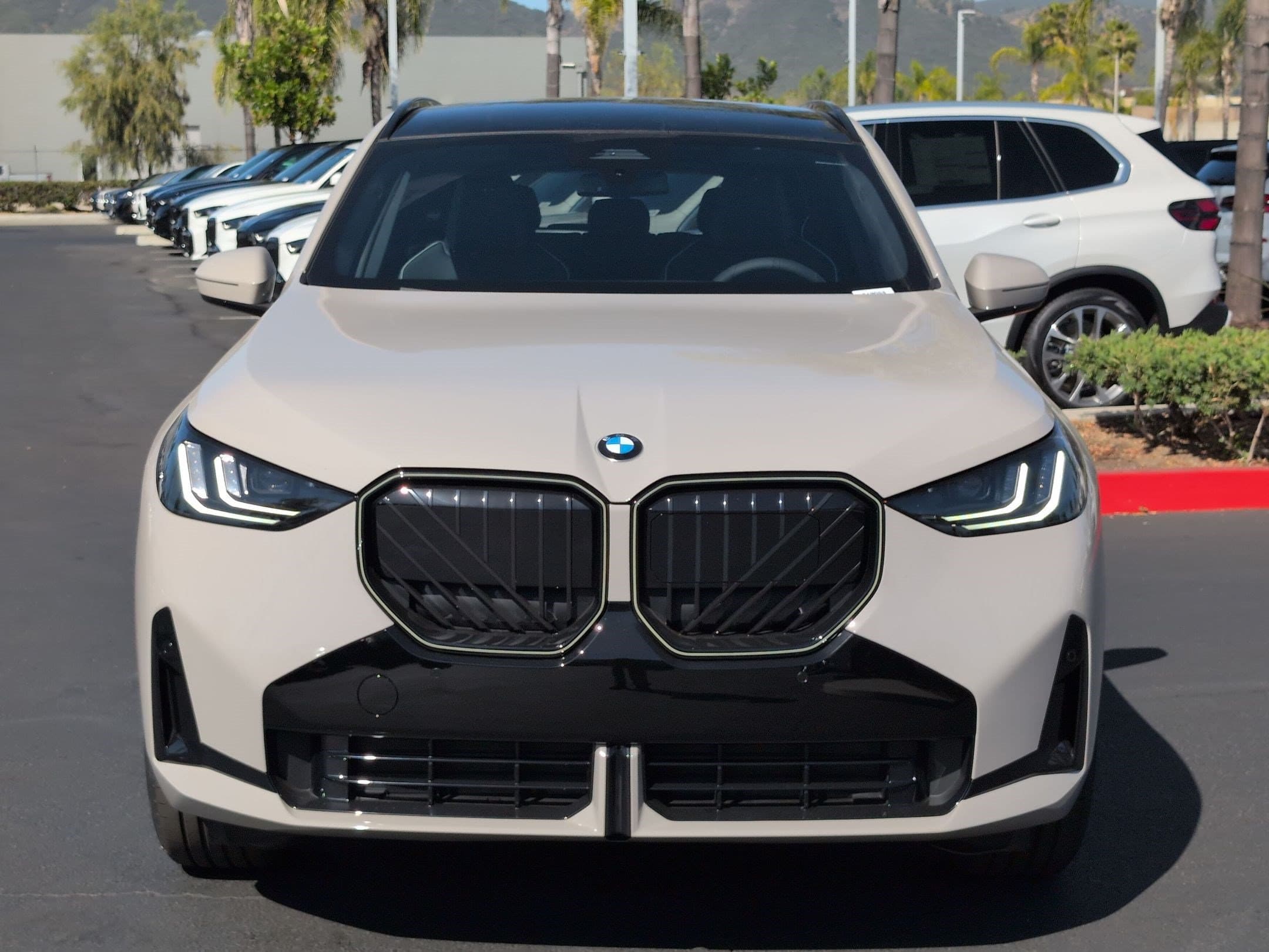 2026 BMW X3 photo 3