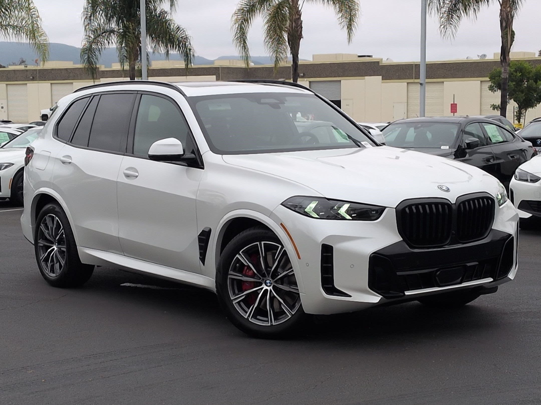 2026 BMW X5 photo 2