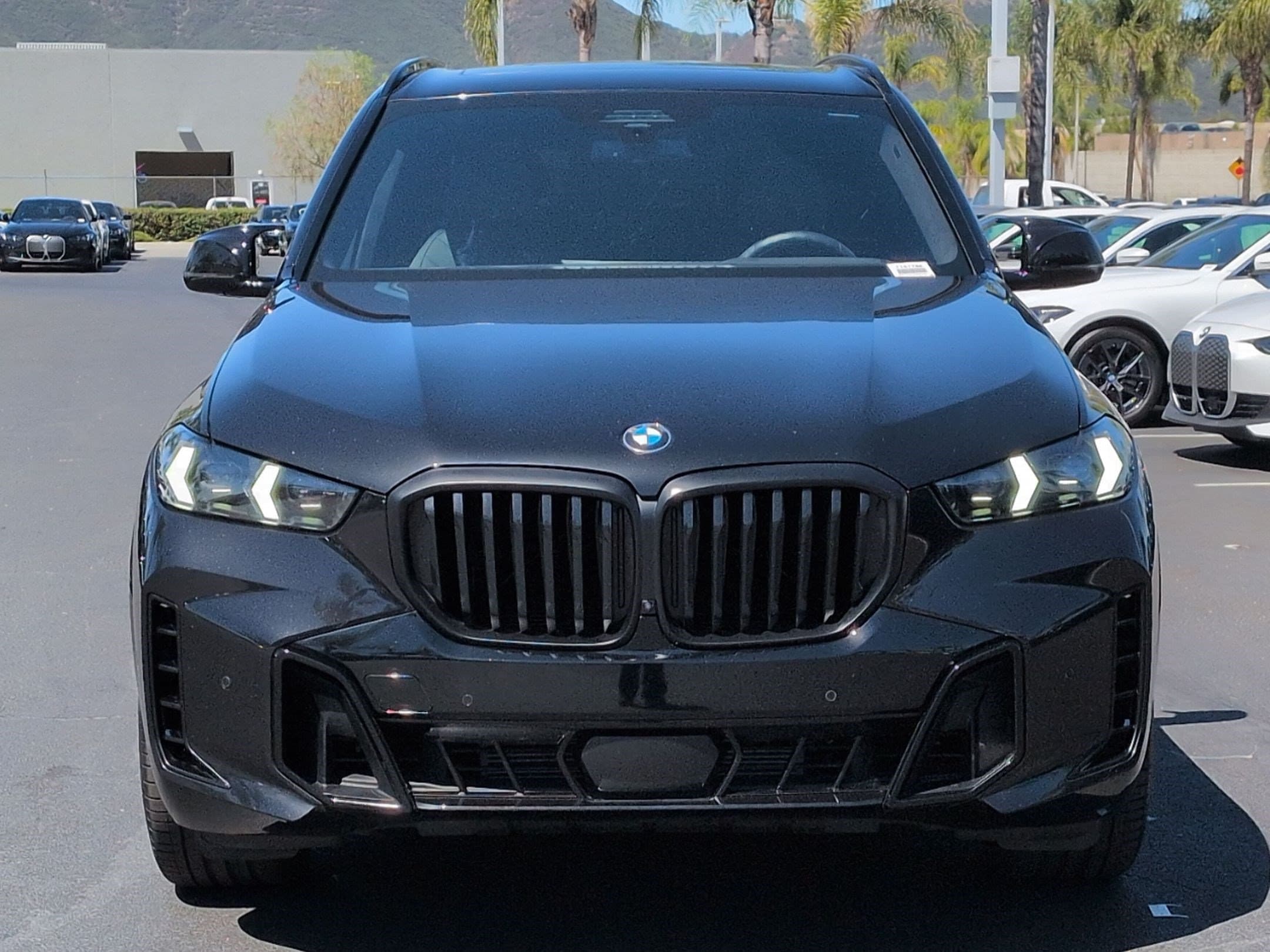 2025 BMW X5 photo 3