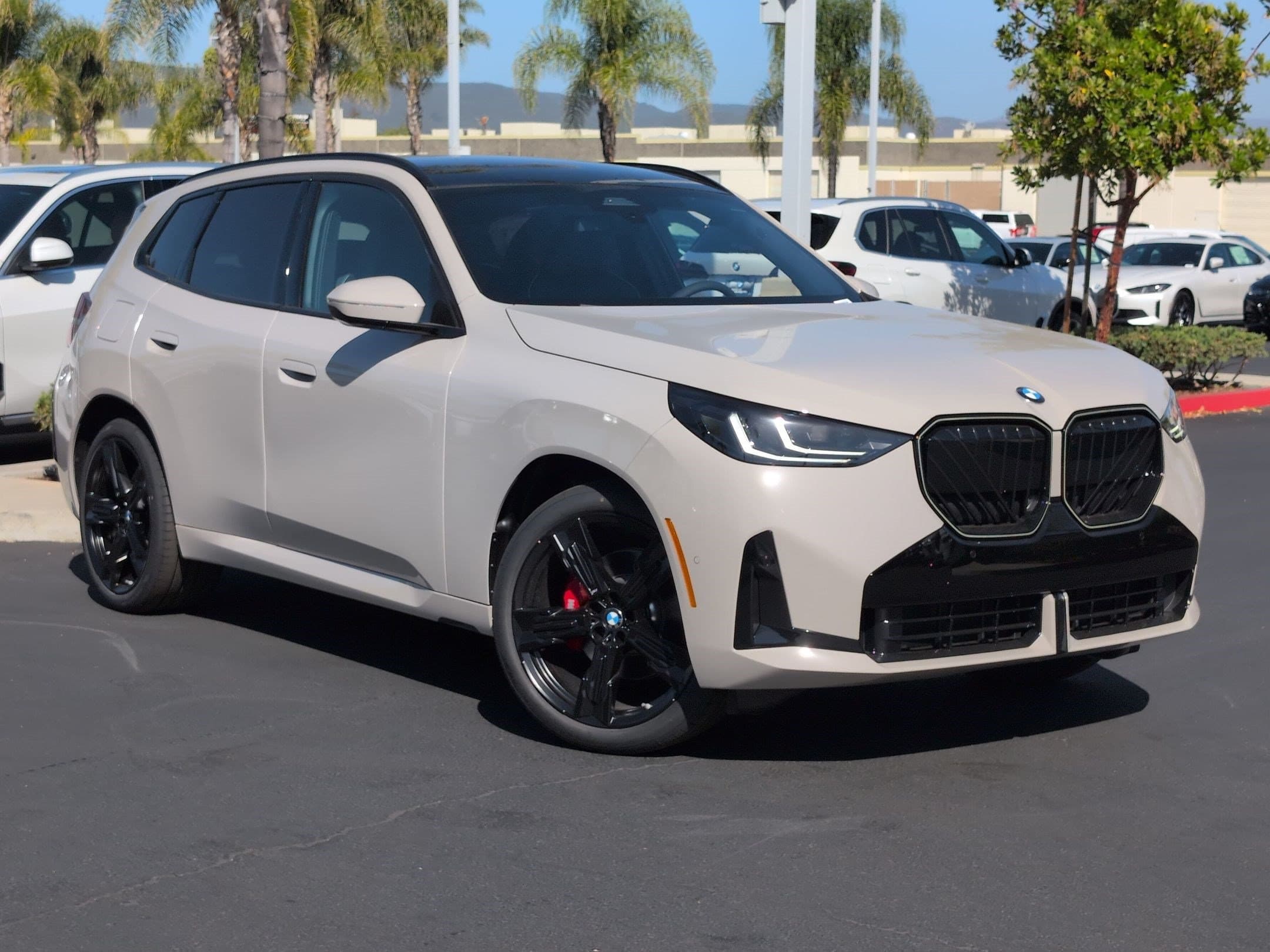 2026 BMW X3 photo 2