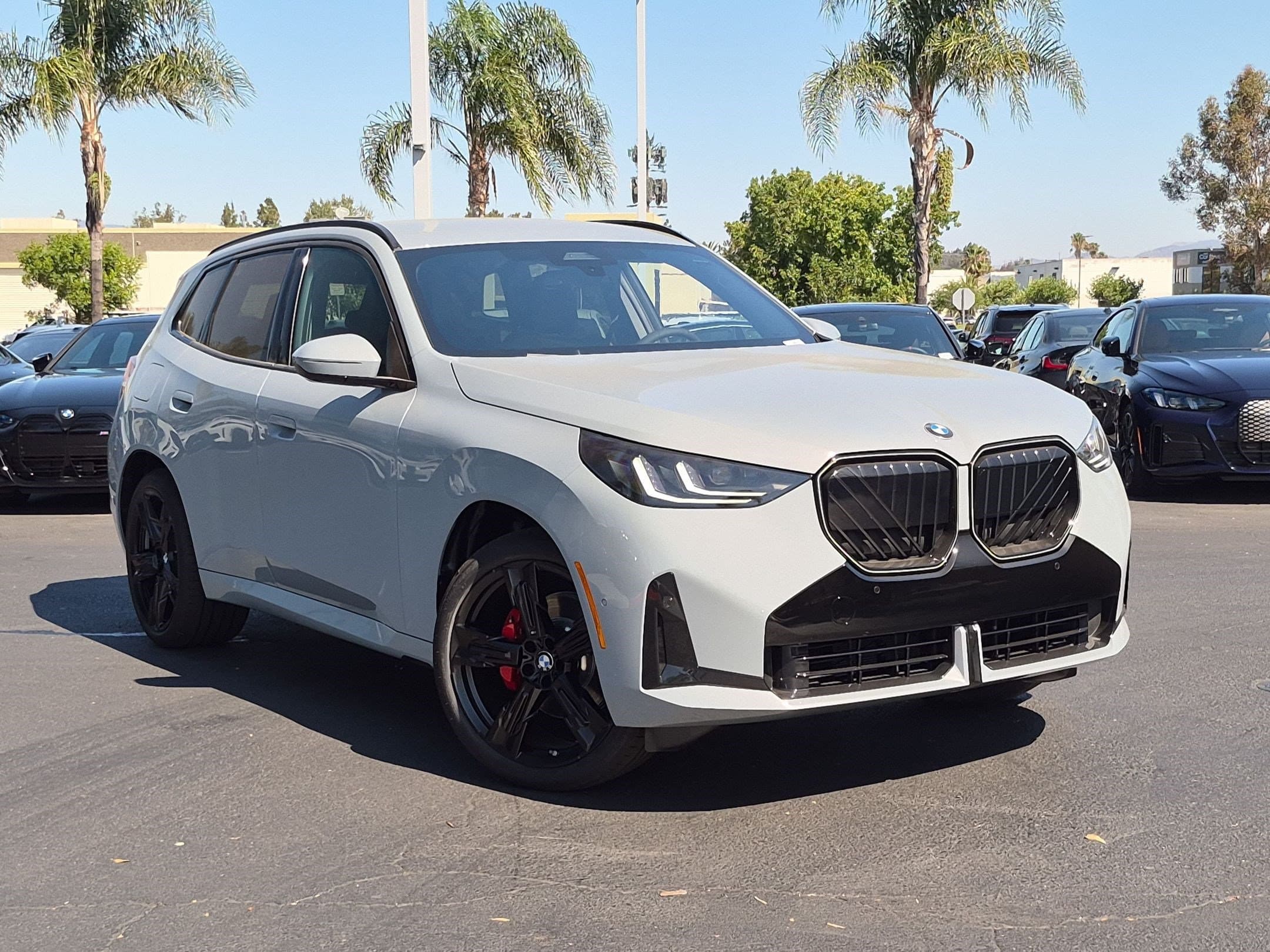 2026 BMW X3 photo 2